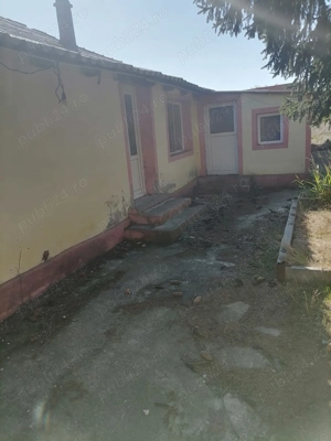Vand casa batraneasca cu teren,in suprafata de 6000 mp,sat Viisoara,judetul Constanta - imagine 5