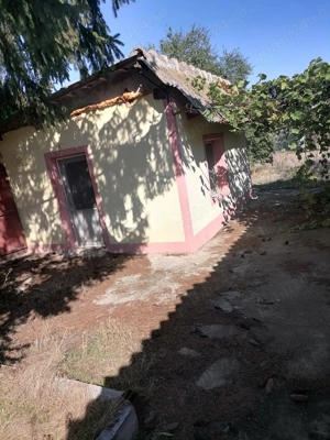 Vand casa batraneasca cu teren,in suprafata de 6000 mp,sat Viisoara,judetul Constanta - imagine 7