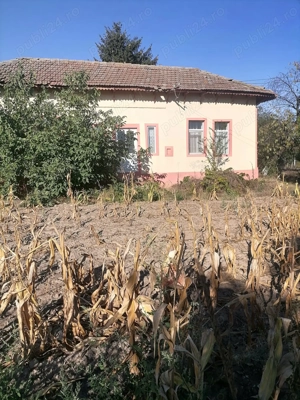 Vand casa batraneasca cu teren,in suprafata de 6000 mp,sat Viisoara,judetul Constanta - imagine 6