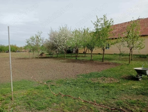 Vând teren în Iratoşu Arad