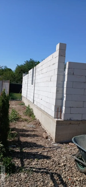 executam case la rosu 