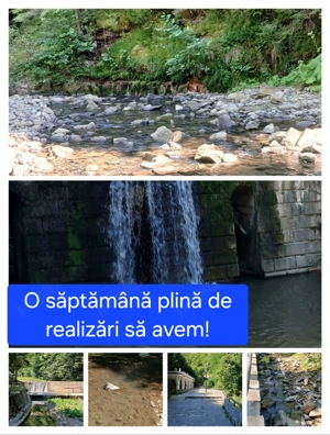 Scriu lucrări referate texte  - imagine 3 Scriu lucrări referate texte  - imagine 3