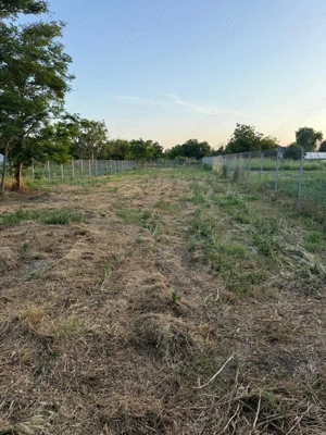 Teren de vânzare intravilan Vărăști Giurgiu direct proprietar