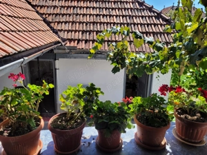 Casa Visurilor Tale Crasna din Deal, Județul. Gorj - imagine 9