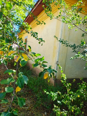 Casa de vanzare +loc +anexe - imagine 6