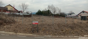 Teren Tautii Magheraus - imagine 2