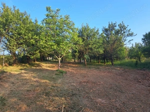 Casă cu anexe gospodaresti si  teren aferent, 36 ari.  - imagine 4