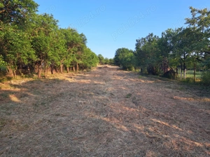 Casă cu anexe gospodaresti si  teren aferent, 36 ari.  - imagine 3