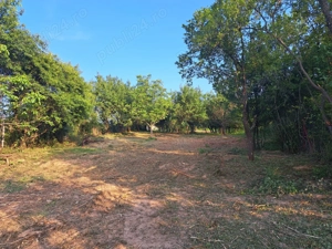 Casă cu anexe gospodaresti si  teren aferent, 36 ari.  - imagine 5