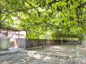 Vand teren 1900mp cu casa batraneasca locuibila - imagine 10