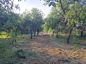 Casă cu anexe gospodaresti si  teren aferent, 36 ari.  - imagine 6