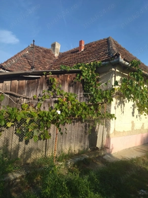 Vând casă locuibilă cu vie și teren În sat Doh, comuna Maeriste - imagine 4