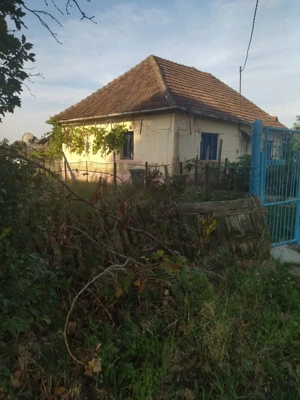 Vând casă locuibilă cu vie și teren În sat Doh, comuna Maeriste - imagine 3