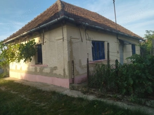 Vând casă locuibilă cu vie și teren În sat Doh, comuna Maeriste - imagine 5