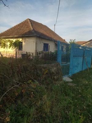 Vând casă locuibilă cu vie și teren În sat Doh, comuna Maeriste - imagine 2