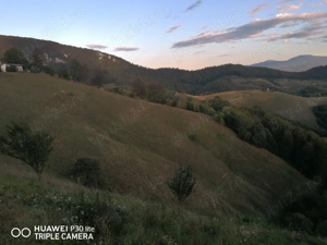 Teren zona Holbav - imagine 3