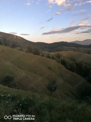 Teren zona Holbav - imagine 2