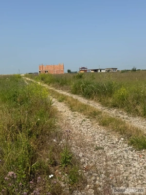 Vand teren intrevilan in Sacalaz - imagine 3