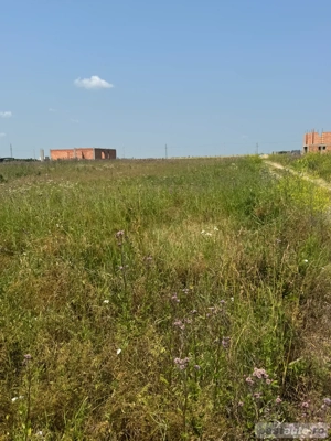 Vand teren intrevilan in Sacalaz - imagine 4