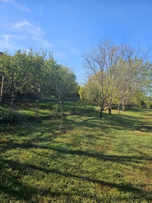 Ideal investitie Teren la lacul Balotesti - imagine 9