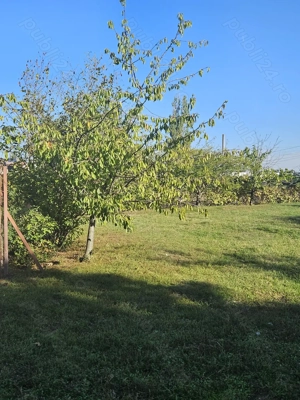 Ideal investitie Teren la lacul Balotesti - imagine 6