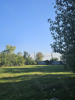 Ideal investitie Teren la lacul Balotesti - imagine 5