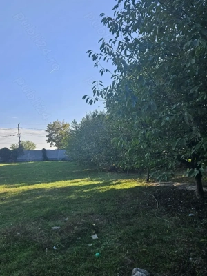 Ideal investitie Teren la lacul Balotesti - imagine 3