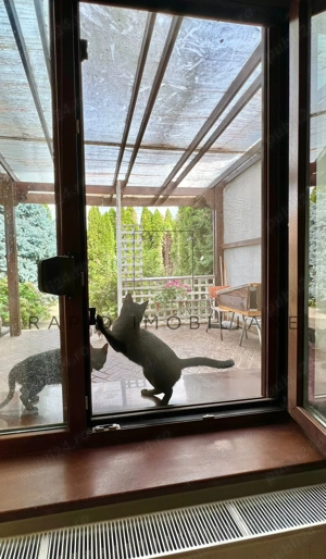 Reședință Spațioasă de Vânzare   Complex AltStil -Aprox. 1000 mp Teren  - imagine 15