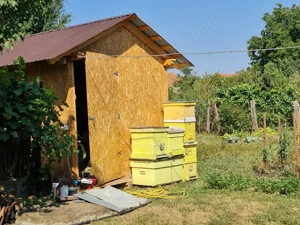 Vand casa, curte si gradina cu magazie - imagine 7 Vand casa, curte si gradina cu magazie - imagine 7