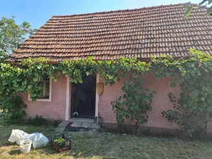 Vand casa, curte si gradina cu magazie - imagine 8 Vand casa, curte si gradina cu magazie - imagine 8