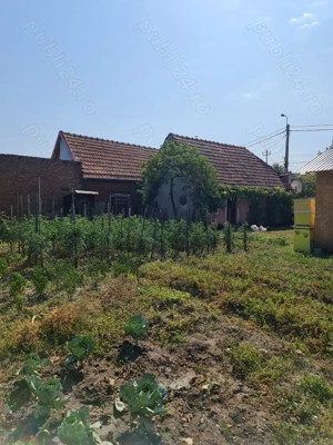 Vand casa, curte si gradina cu magazie - imagine 9 Vand casa, curte si gradina cu magazie - imagine 9