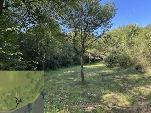 Teren intravilan+extravilan in Ceuasu de Campie