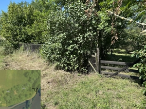 Teren intravilan+extravilan in Ceuasu de Campie - imagine 7