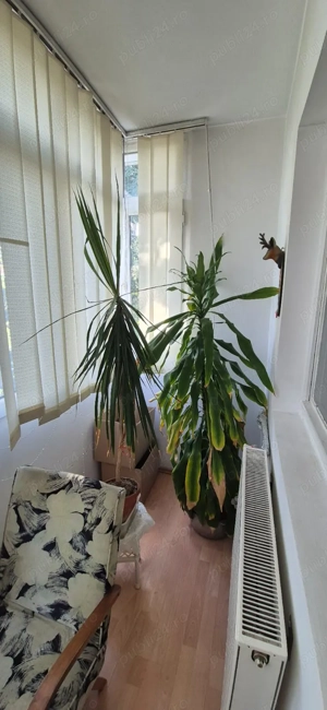 Vanzare apartament doua camere Ploiești 