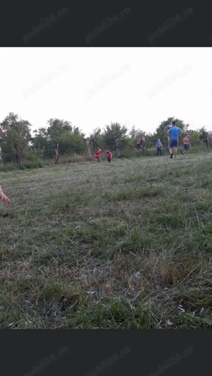 Vând teren intravilan  - imagine 2