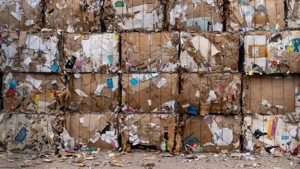 Angajez manipulant marfa  persoana necalificata