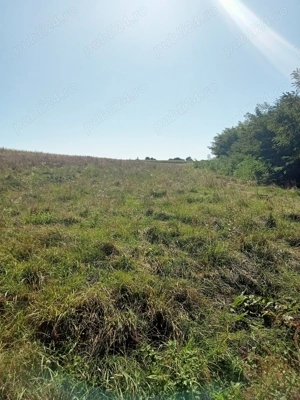 Teren intravilan de vânzare 1800m  7 euro m  Saucenița - imagine 2