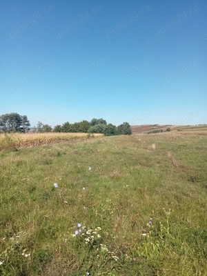 Teren intravilan 1800m