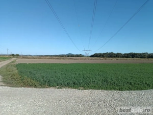 teren de vanzare - imagine 6