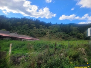 FILM! Teren 33.274 mp, Tulghes, Harghita, panorama munte, destinatie recreativa - imagine 3