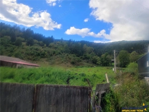 FILM! Teren 33.274 mp, Tulghes, Harghita, panorama munte, destinatie recreativa - imagine 5