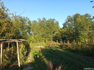 vand casa  - imagine 4