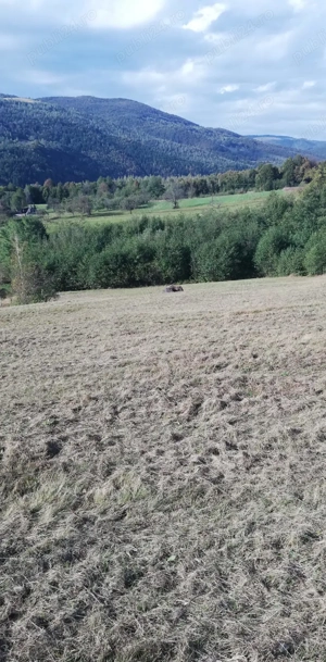 Vand teren intravilan in Loc. Negreni Cluj - imagine 5