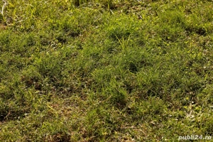 Teren intravilan 4200 mp in Pleasa Prahova - imagine 4