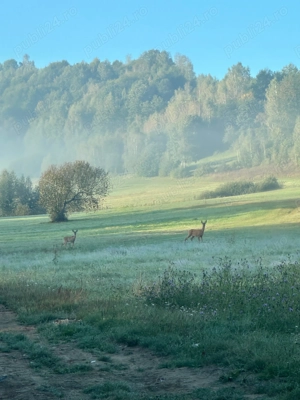 Teren de vanzare - Refugiu Natural in Saramas, Covasna