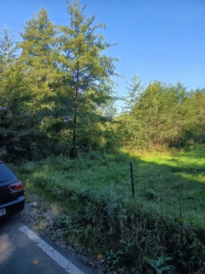 Vând teren intravilan în Beznea , Bratca  - imagine 9