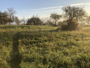 Vind Teren intravilan Beius( Mizies)