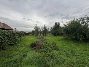 Casa spre vanzare, pozitie buna, ideal investitie, Sancraiul de Mures - imagine 3