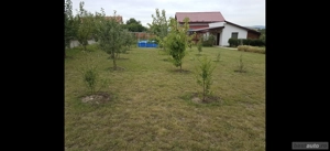 casa vacanta teren 1000 mp miroslava - imagine 5