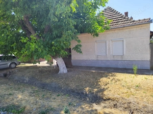 Casă + Curte + Teren arabil generos, Nerău, Teremia Mare, 1596 mp, locuibilă imediat